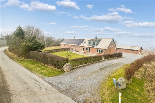 estate