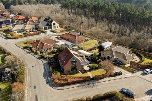 estate