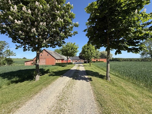 estate