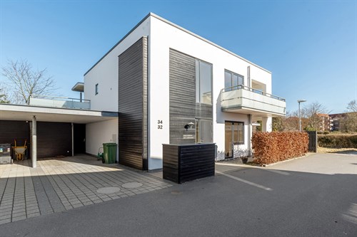 estate