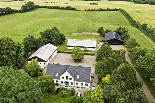estate