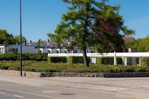 estate