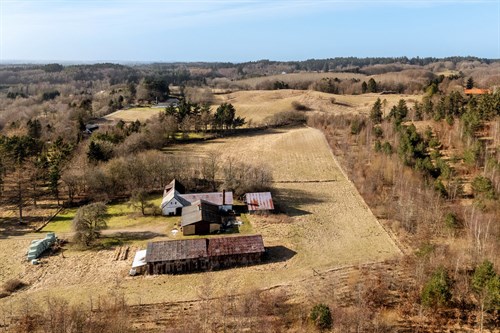 estate