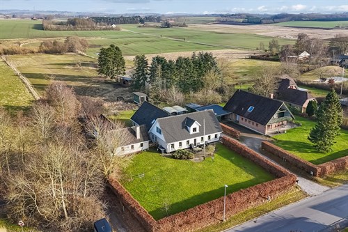 estate