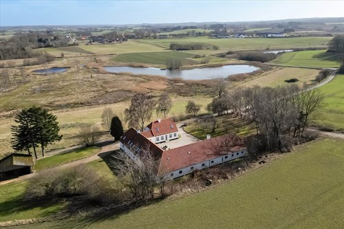 estate