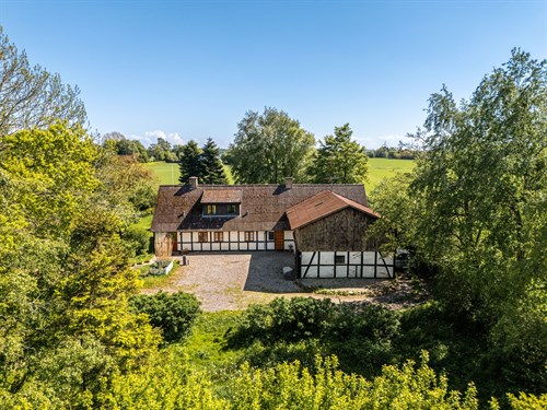 estate