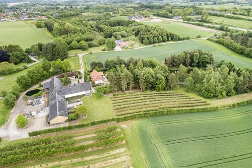 estate