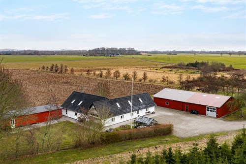 estate