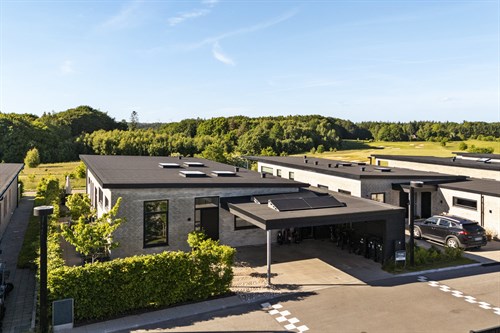 estate