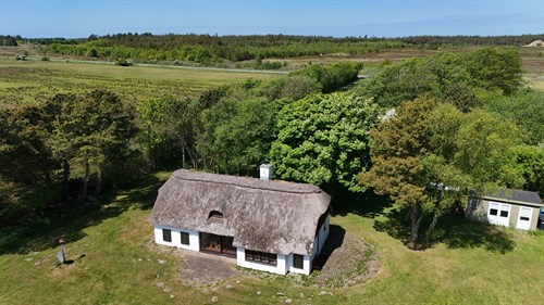 estate