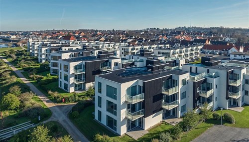 estate