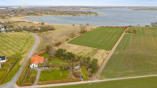 estate
