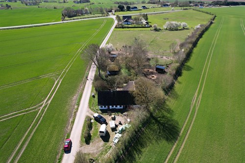 estate