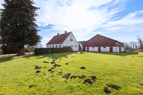estate