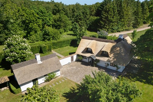 estate
