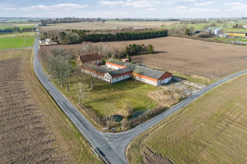 estate