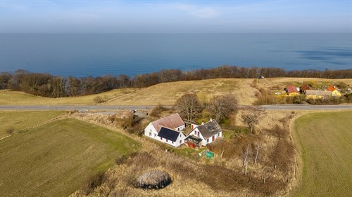 estate