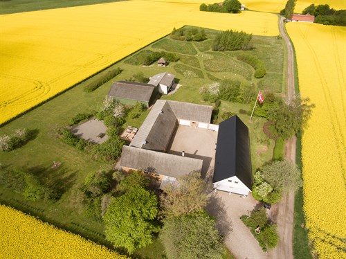 estate
