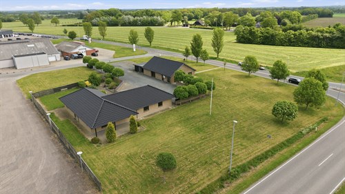 estate