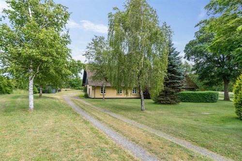 estate