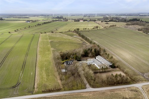 estate