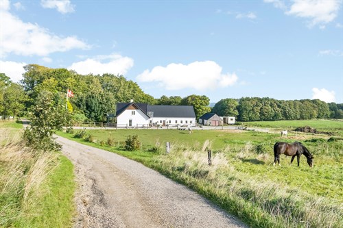 estate
