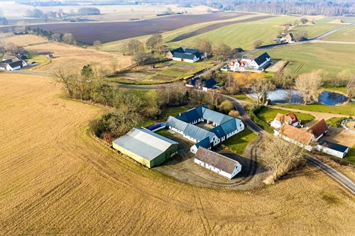 estate