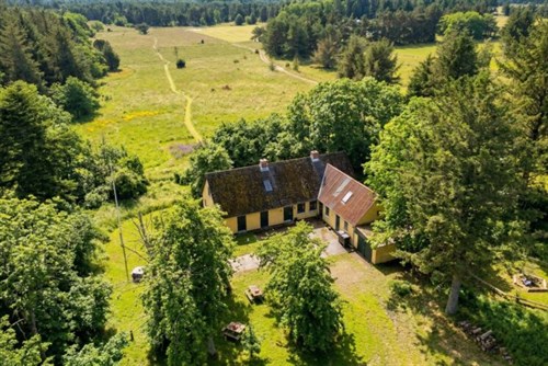 estate