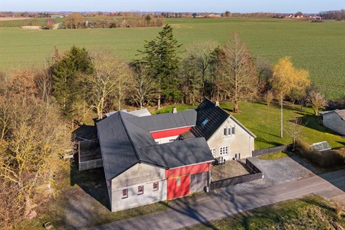 estate