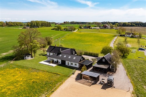 estate