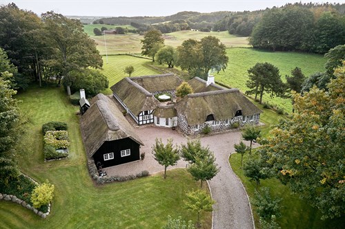 estate
