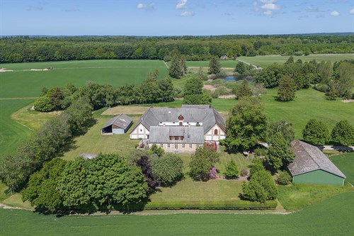 estate