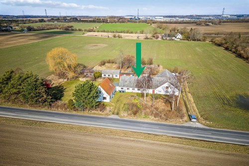 estate