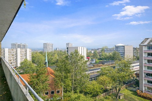 estate