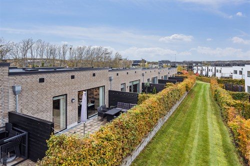 estate