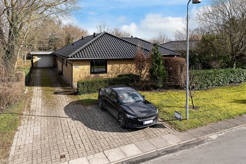 estate