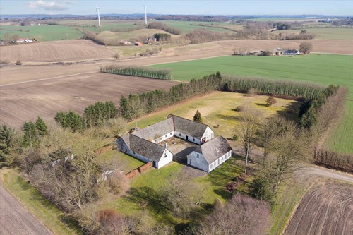 estate
