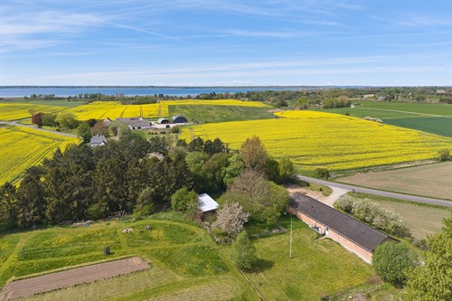 estate