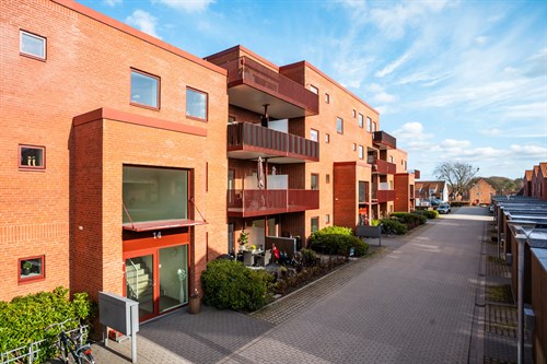 estate