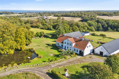 estate