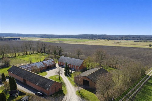 estate