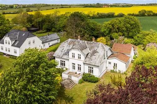 estate