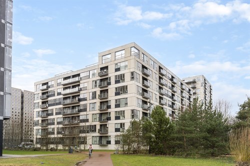 estate
