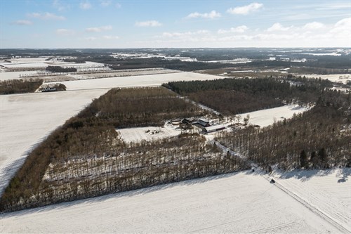 estate