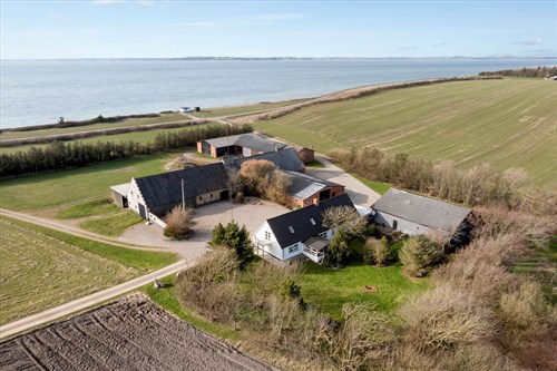 estate