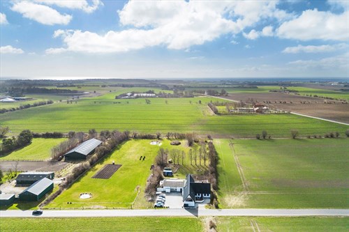 estate