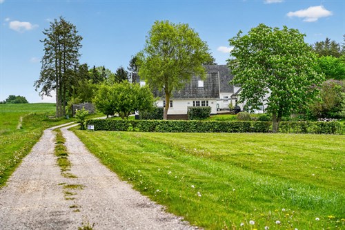 estate