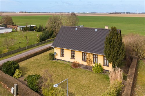 estate