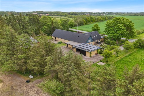 estate