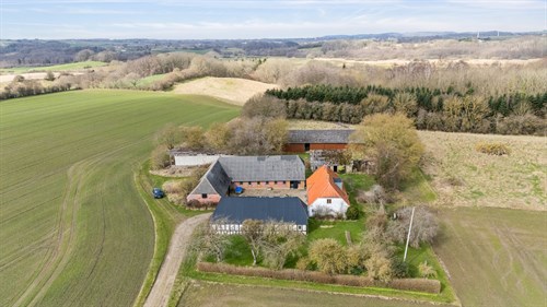 estate